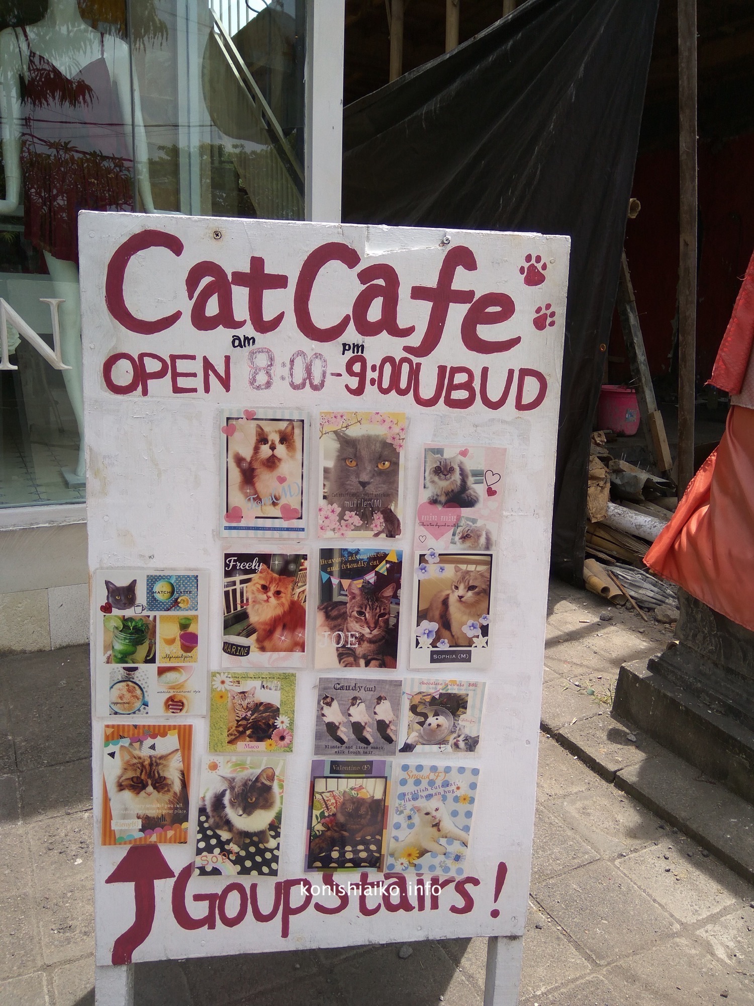 ウブドのcat cafe