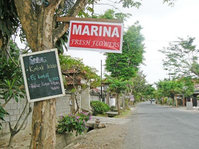 marina2