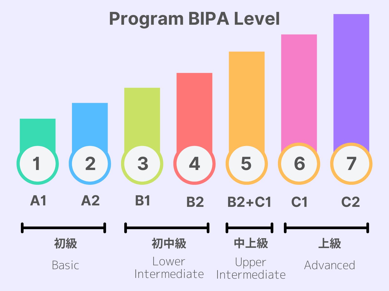 Program BIPA bahasa level tingkat